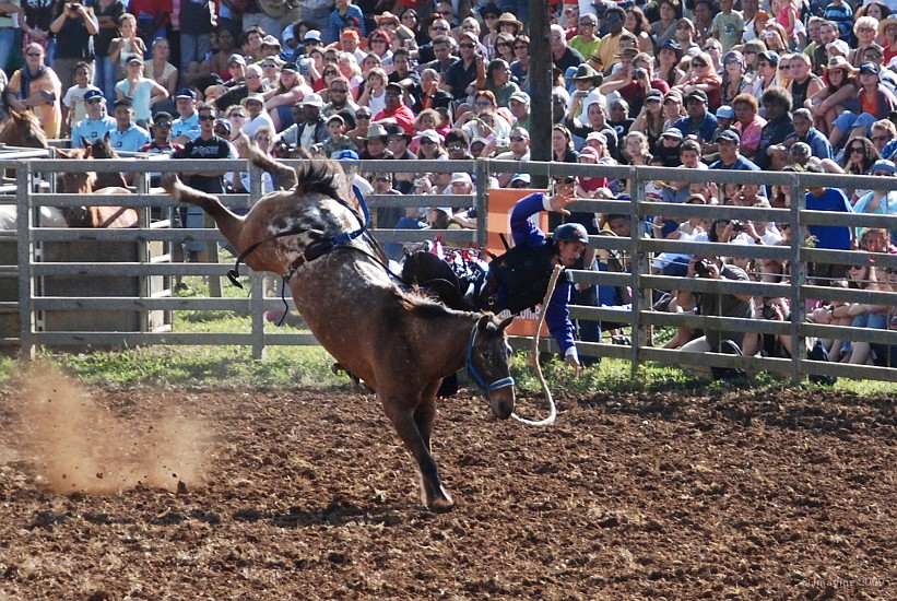 43- Rodeo.JPG